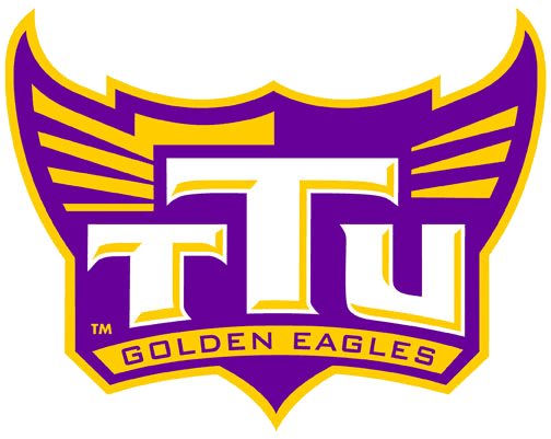 Tennessee Tech Golden Eagles 2006-Pres Alternate Logo 05 iron on paper